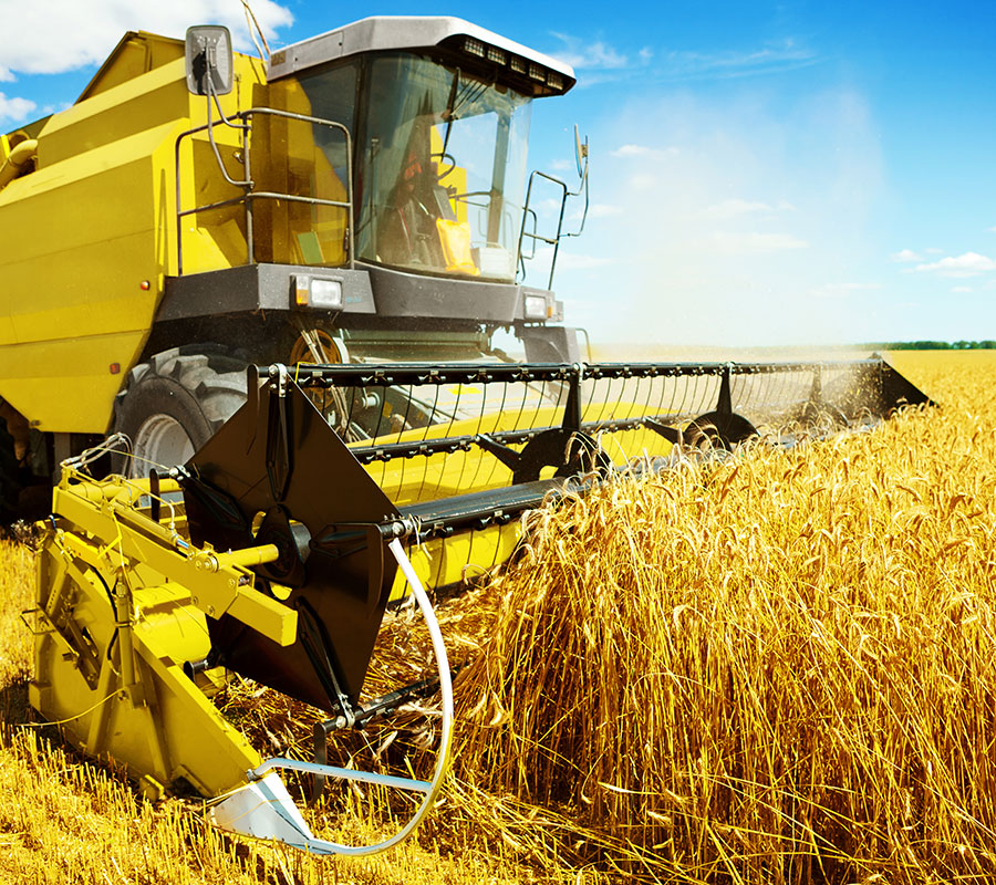 Agriculture Products